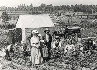 An image of strawberry pickers