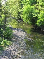 An image of the River Wallington
