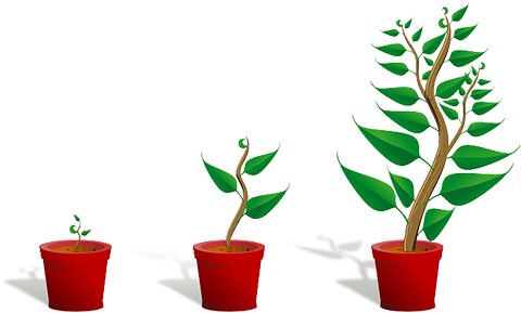 Three cartoon images of new plant growing in pot 